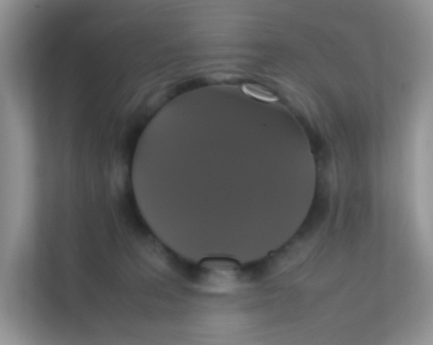 X0000111370227200907311039