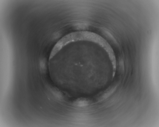 X0000111370228200907311039