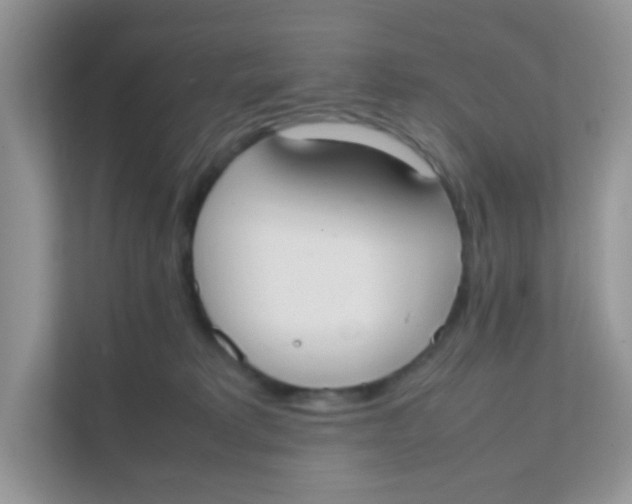 X0000111370229200907311039