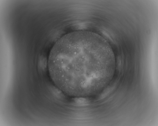 X0000111370230200907311039