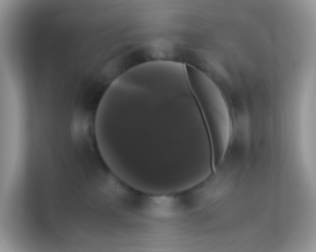 X0000111370233200907311039