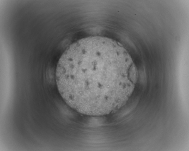 X0000111370234200907311039