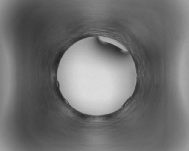 X0000111370235200907311039