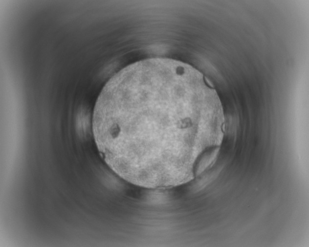 X0000111370238200907311039