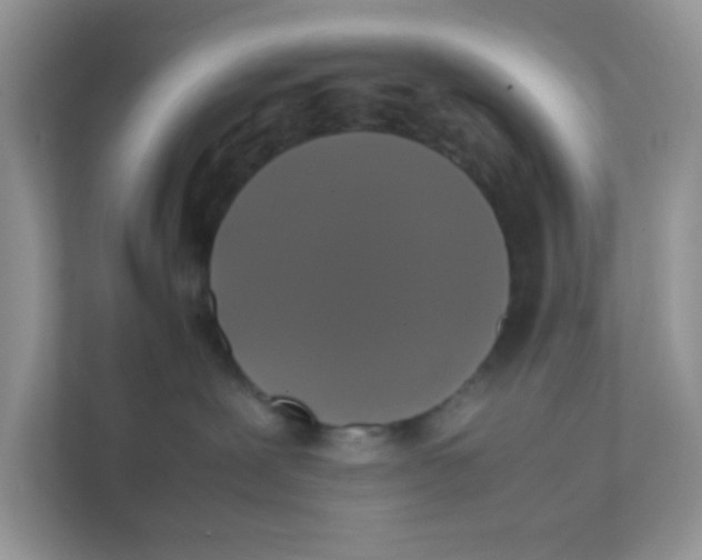 X0000111370239200907311039