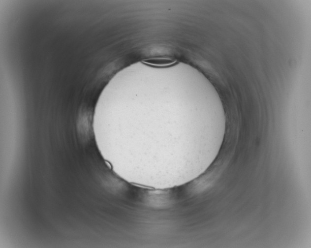 X0000111370240200907311039