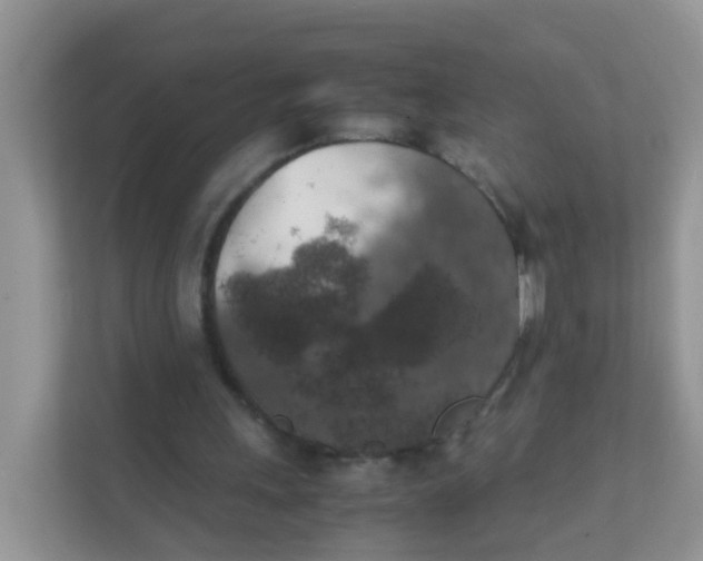 X0000111370243200907311038