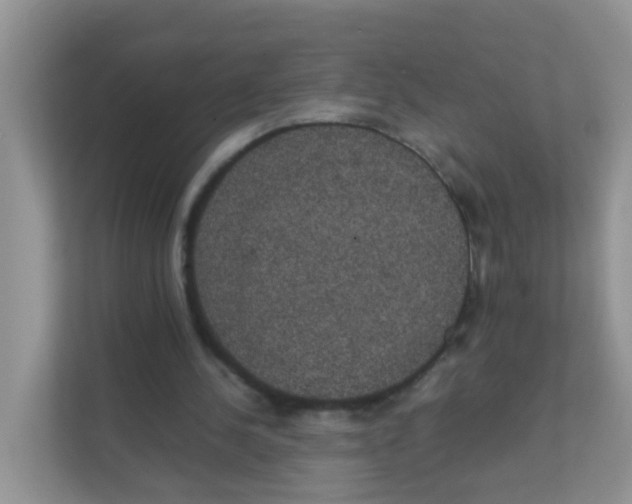 X0000111370244200907311039