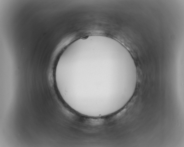 X0000111370245200907311039