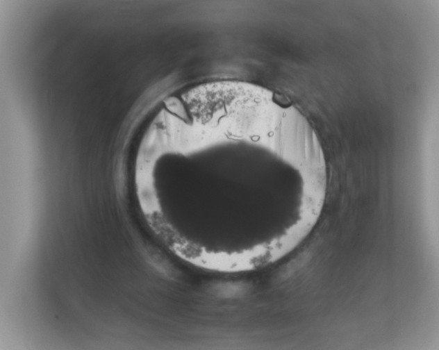 X0000111370247200907311039