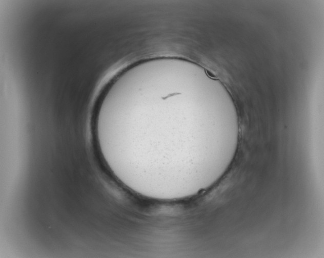 X0000111370248200907311039