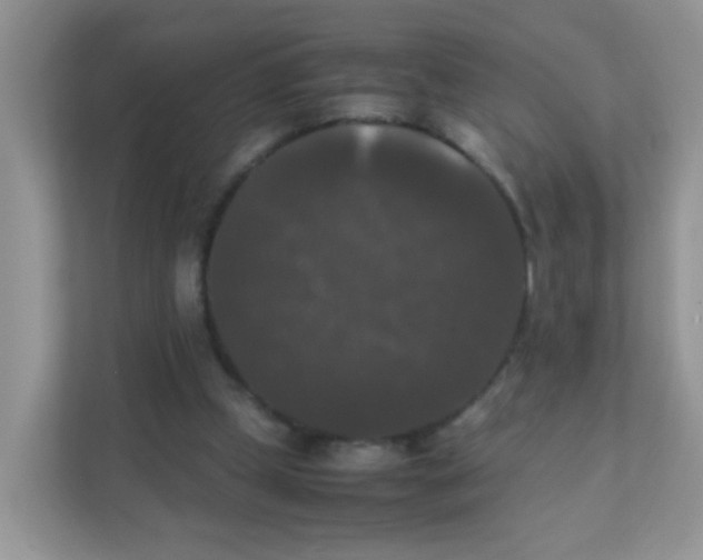 X0000111370249200907311039