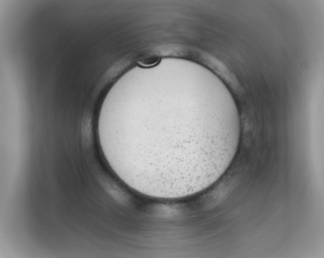 X0000111370250200907311039