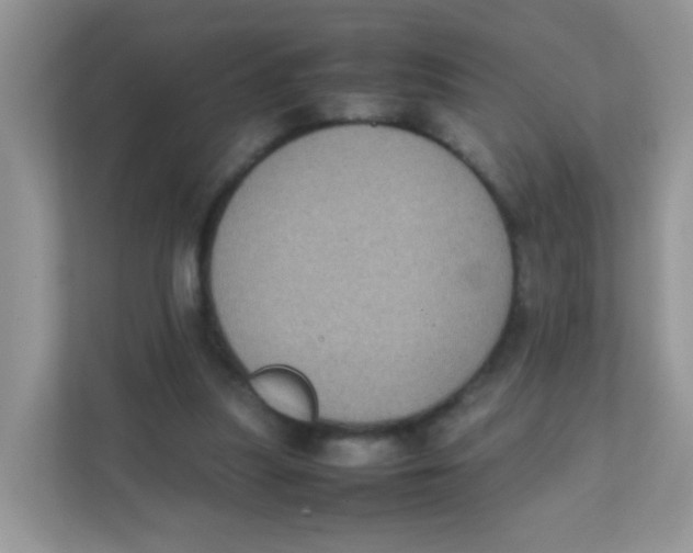 X0000111370251200907311039