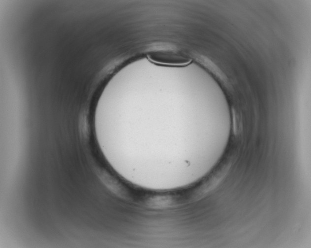 X0000111370252200907311039