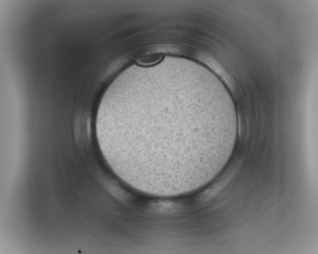 X0000111370253200907311039