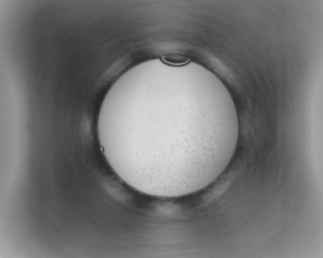 X0000111370258200907311039