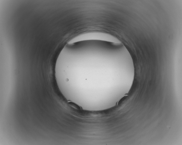 X0000111370260200907311039