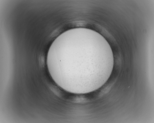 X0000111370262200907311039