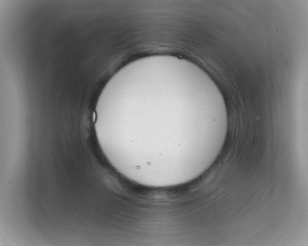 X0000111370264200907311039