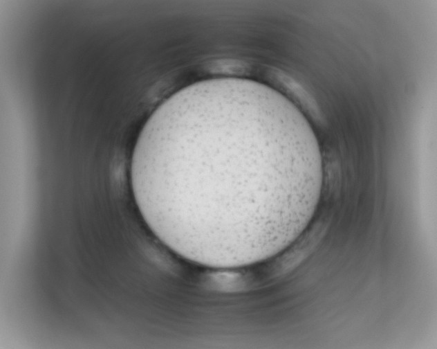 X0000111370265200907311039