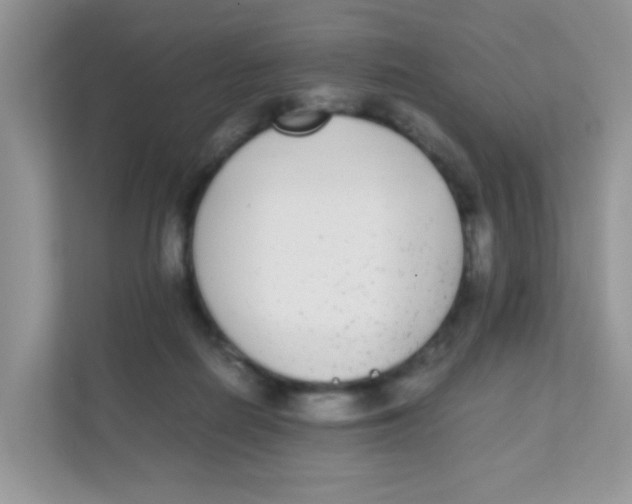 X0000111370266200907311039