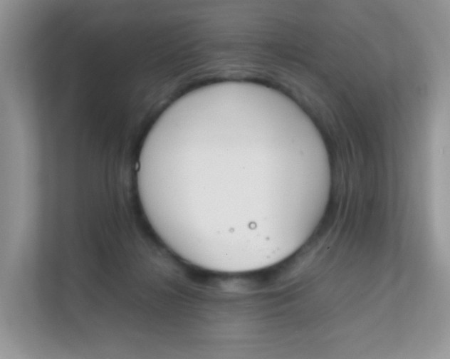 X0000111370268200907311039