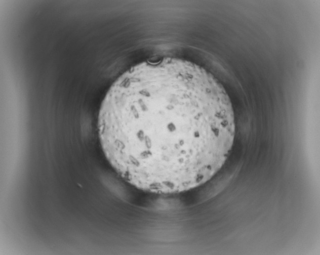 X0000111370270200907311039