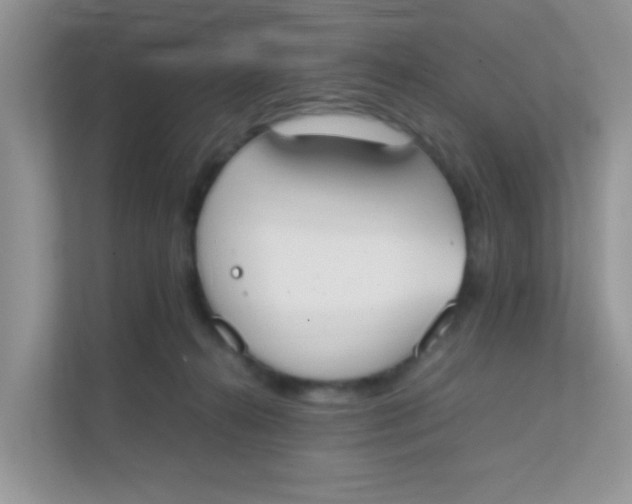 X0000111370272200907311039