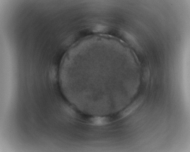 X0000111370273200907311039