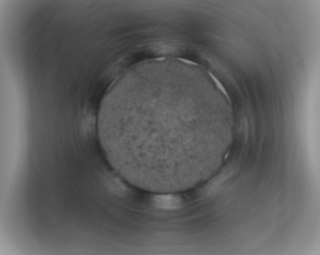 X0000111370281200907311039