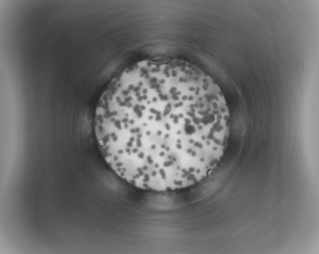 X0000111370282200907311039