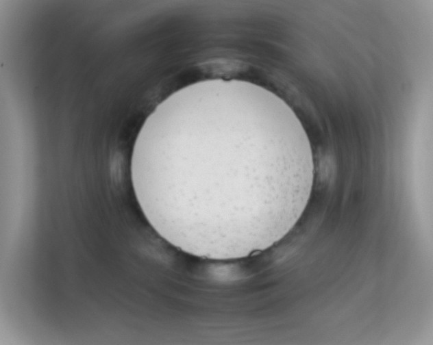 X0000111370283200907311039