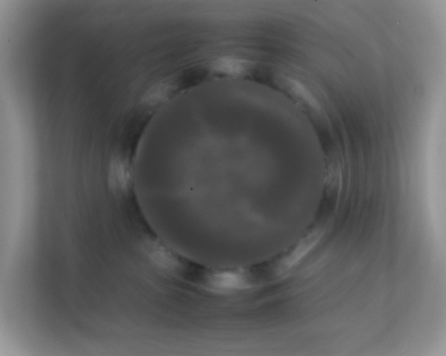 X0000111370285200907311039