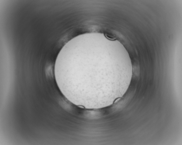 X0000111370286200907311039