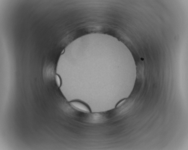 X0000111370287200907311039