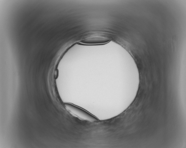 X0000111370289200907311038