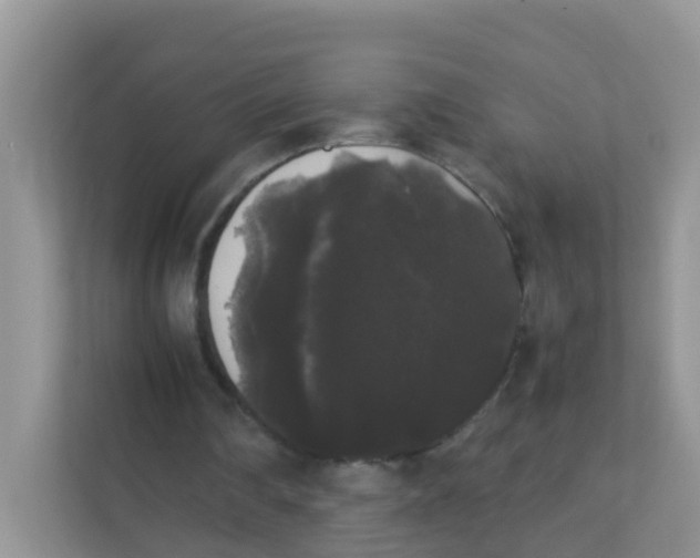 X0000111370290200907311038
