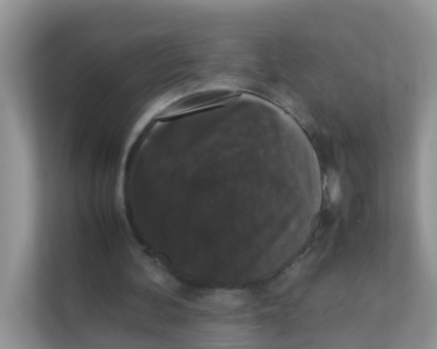 X0000111370292200907311038