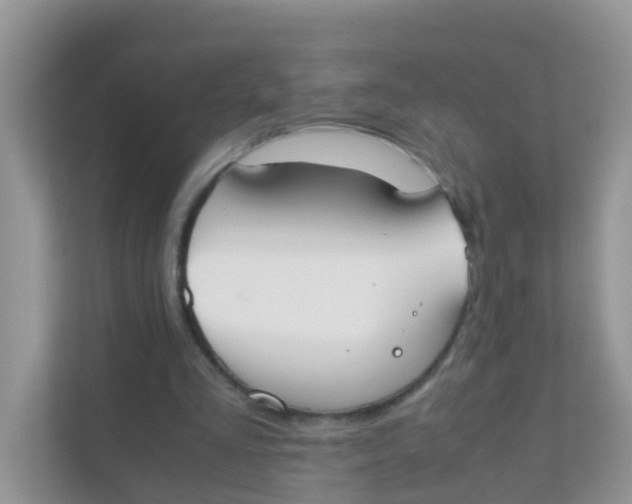 X0000111370293200907311038