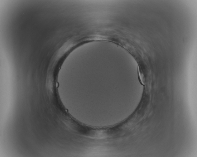 X0000111370295200907311038