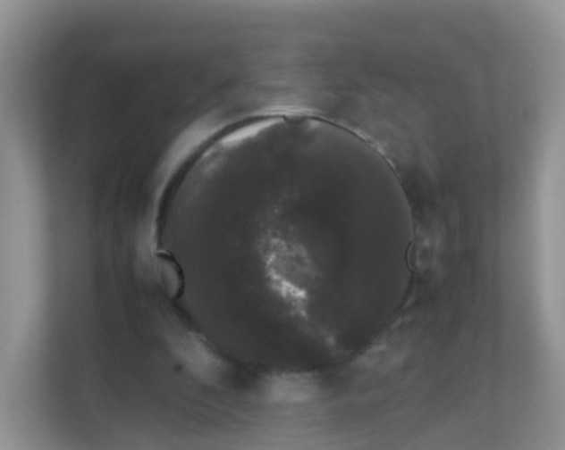 X0000111370296200907311038
