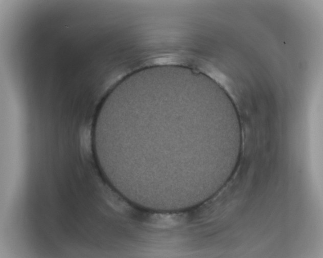 X0000111370297200907311038