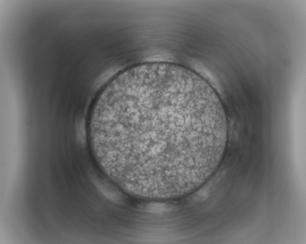 X0000111370298200907311038