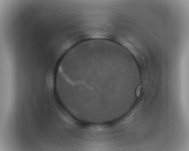 X0000111370299200907311038