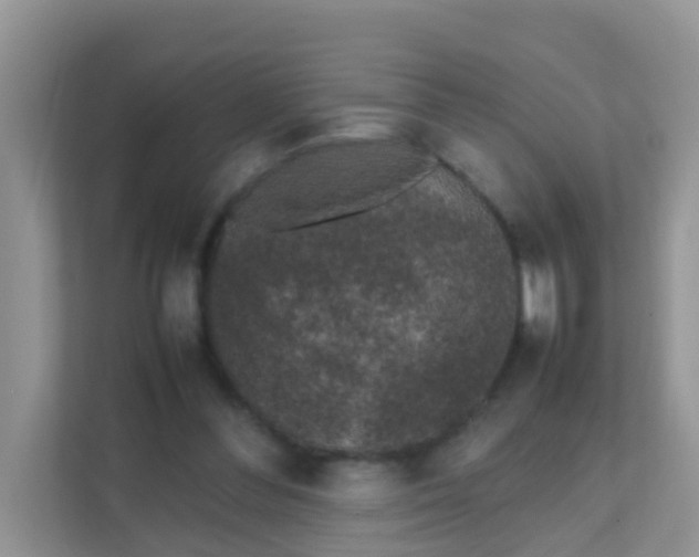 X0000111370300200907311038