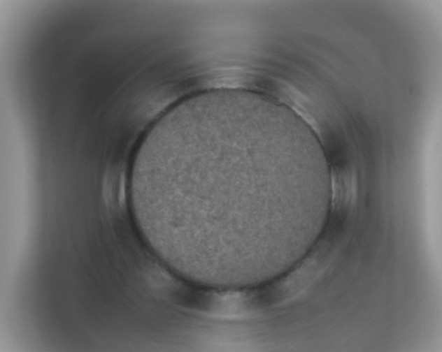 X0000111370301200907311038
