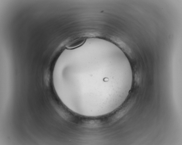 X0000111370304200907311038