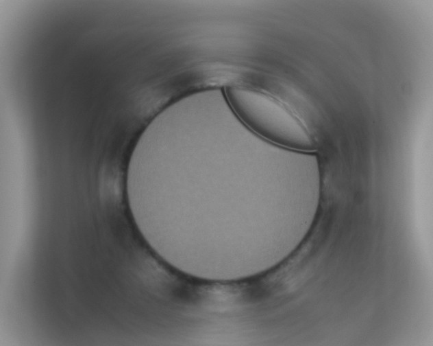 X0000111370305200907311038