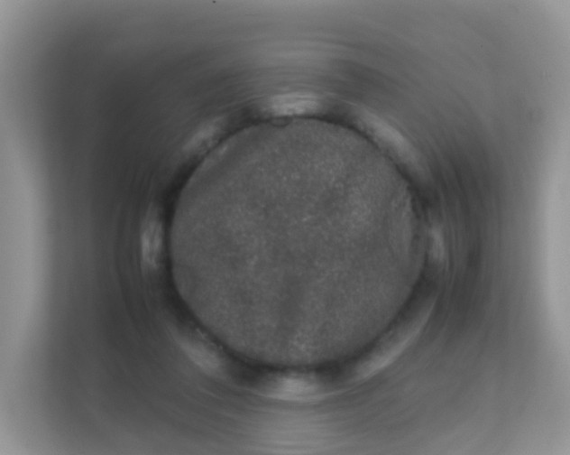 X0000111370308200907311038